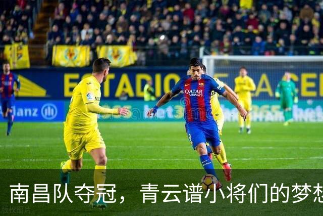 南昌队夺冠，青云谱小将们的梦想在绿茵场上绽放！