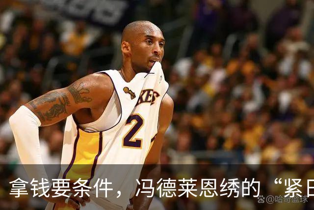 拿钱要条件，冯德莱恩绣的“紧日子”新图腾