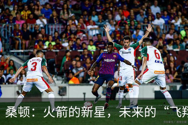 桑顿：火箭的新星，未来的“飞翔小鸟
